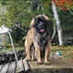 Kaiya profile