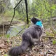 Wen profile