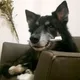Johanie profile