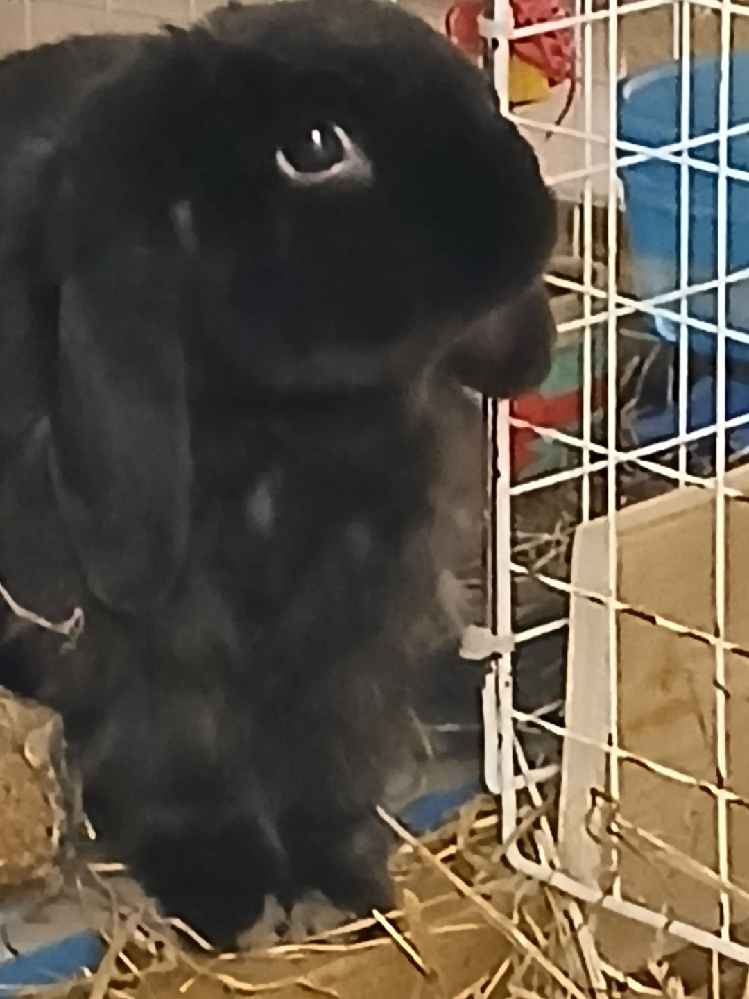 Kay profile