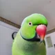 Mariam D profile