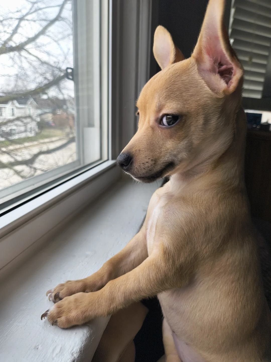 Sonny profile