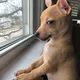 Sonny profile