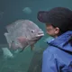 Rachel profile