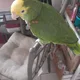 Curt profile