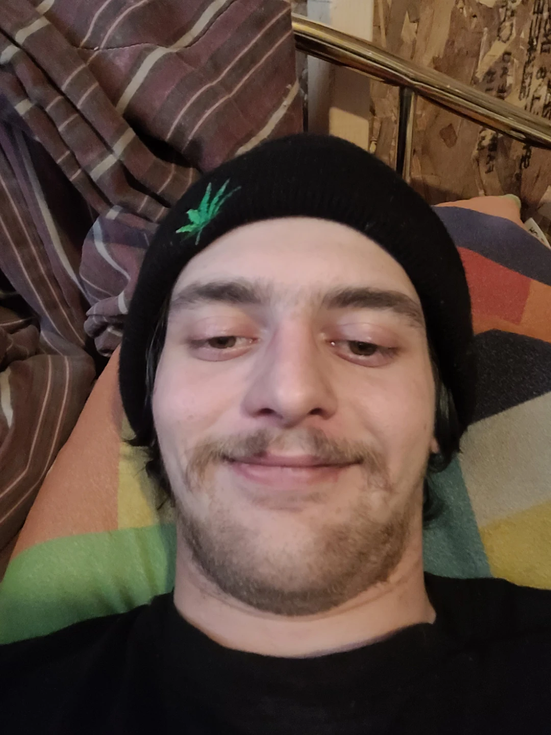 brandon profile