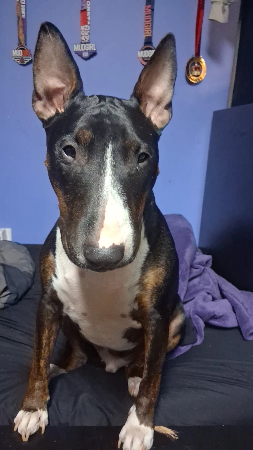 kahlea profile