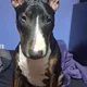 kahlea profile