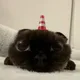 Remi profile