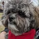 vince profile