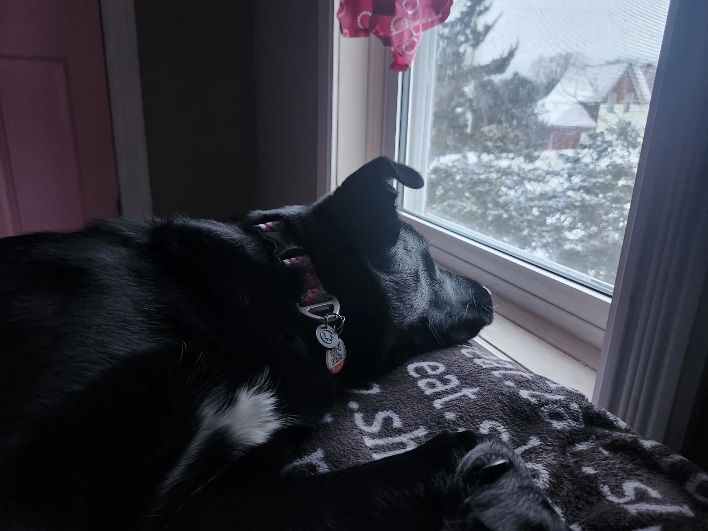 Ryleigh profile