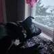Ryleigh profile