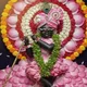 vamika profile