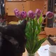 Margot profile