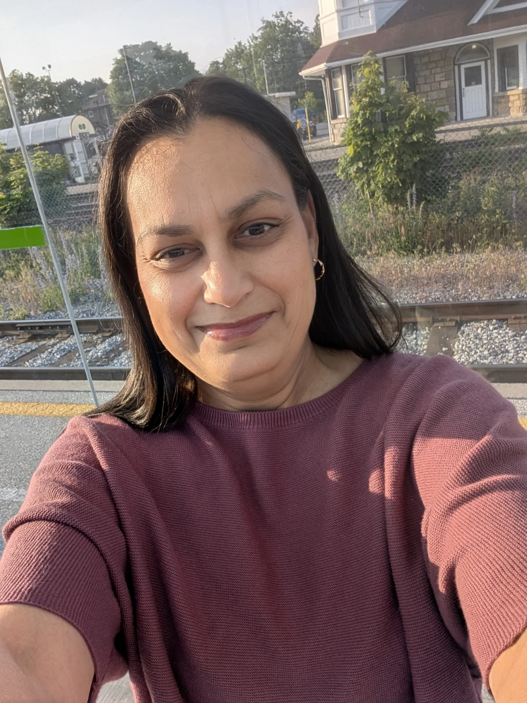shabibi profile