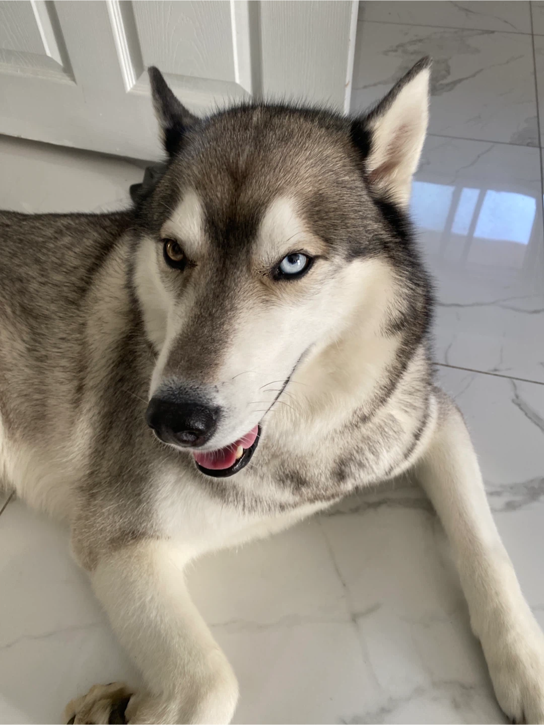 Luna profile