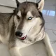 Luna profile
