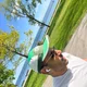 Saad profile