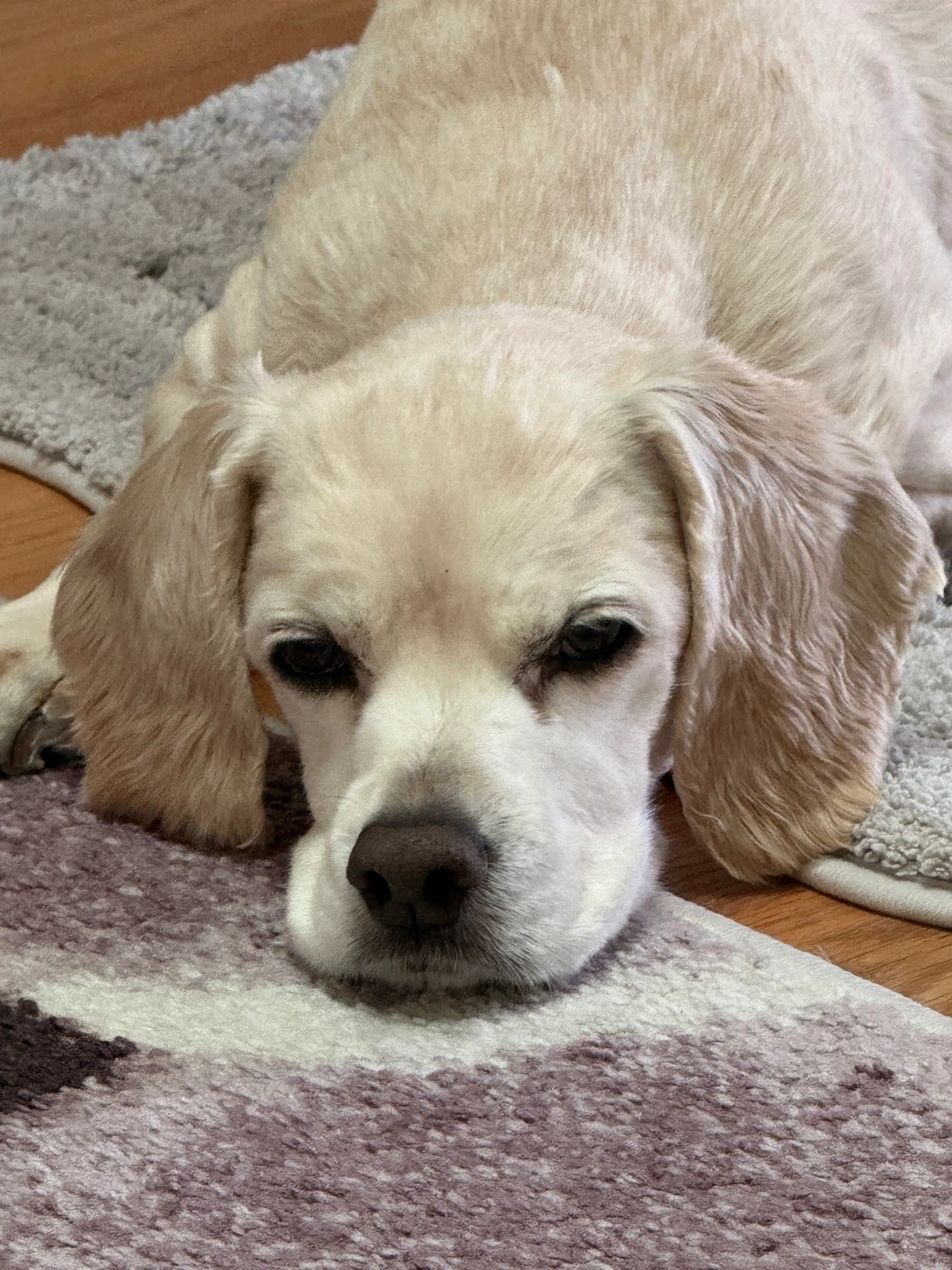 Hank profile