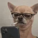 Kandice profile