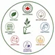 Allan profile