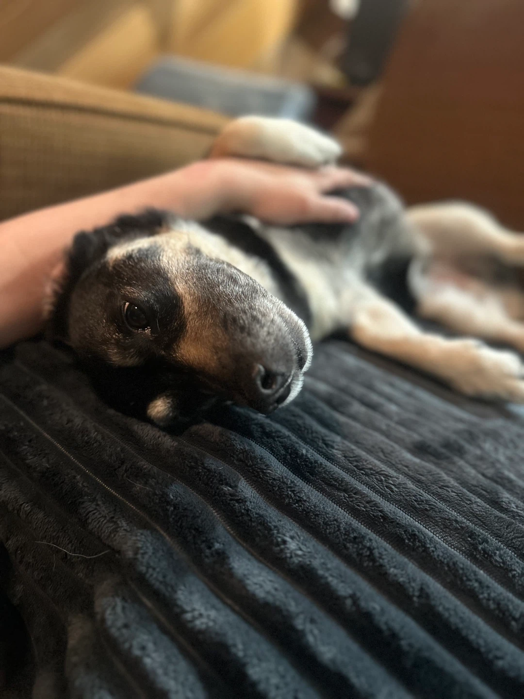 Mitch profile