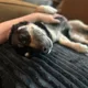 Mitch profile