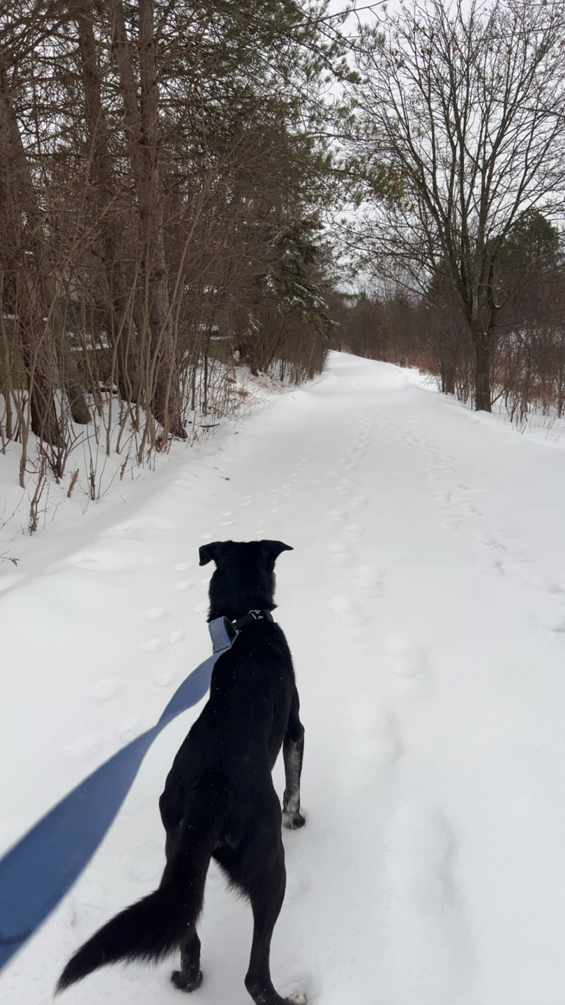 Kali profile