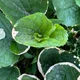 niamhscloset profile