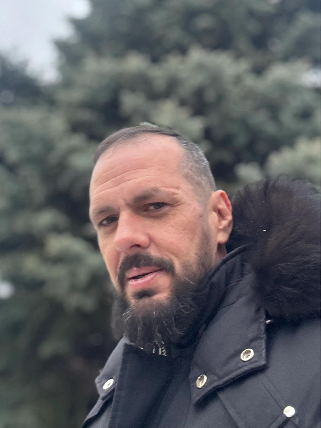 Al profile