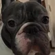 Rolly profile