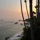 Robbie Cotton profile
