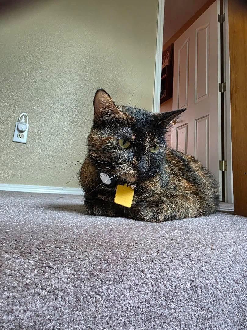 Aki profile