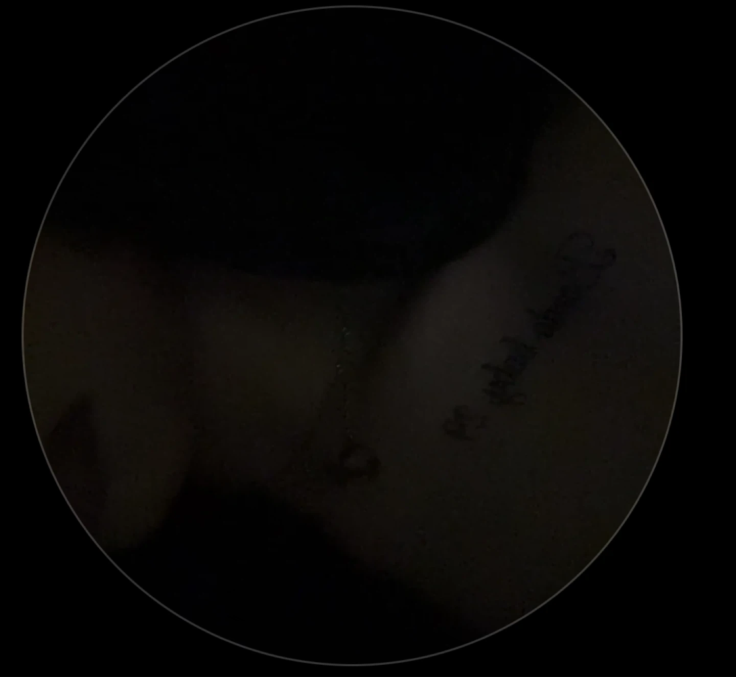 Ms secret seller profile