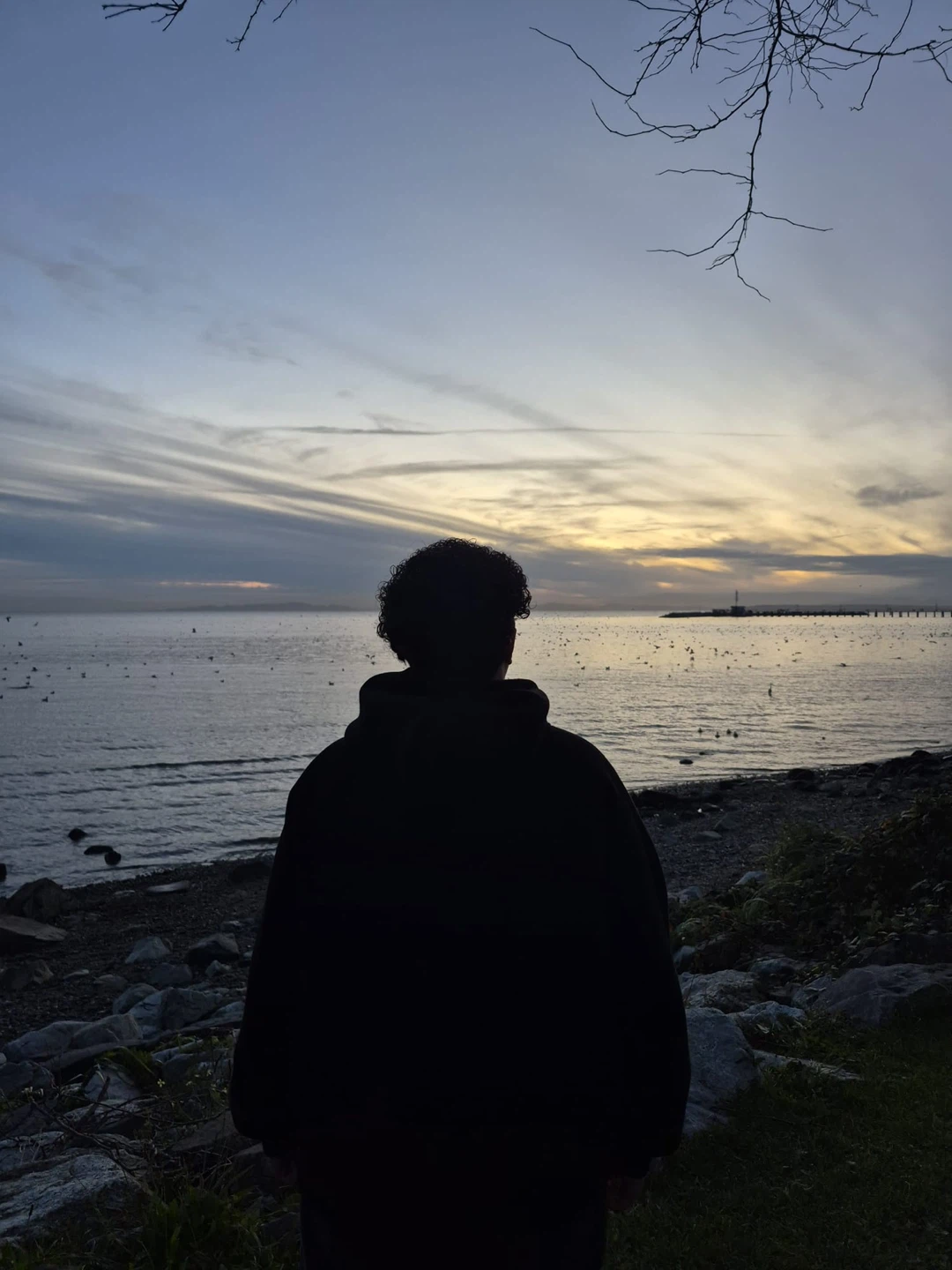 Andre wadee profile