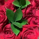 manpreet rathour profile