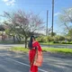 Fari profile