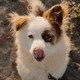Christoph profile
