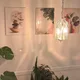 Angel profile