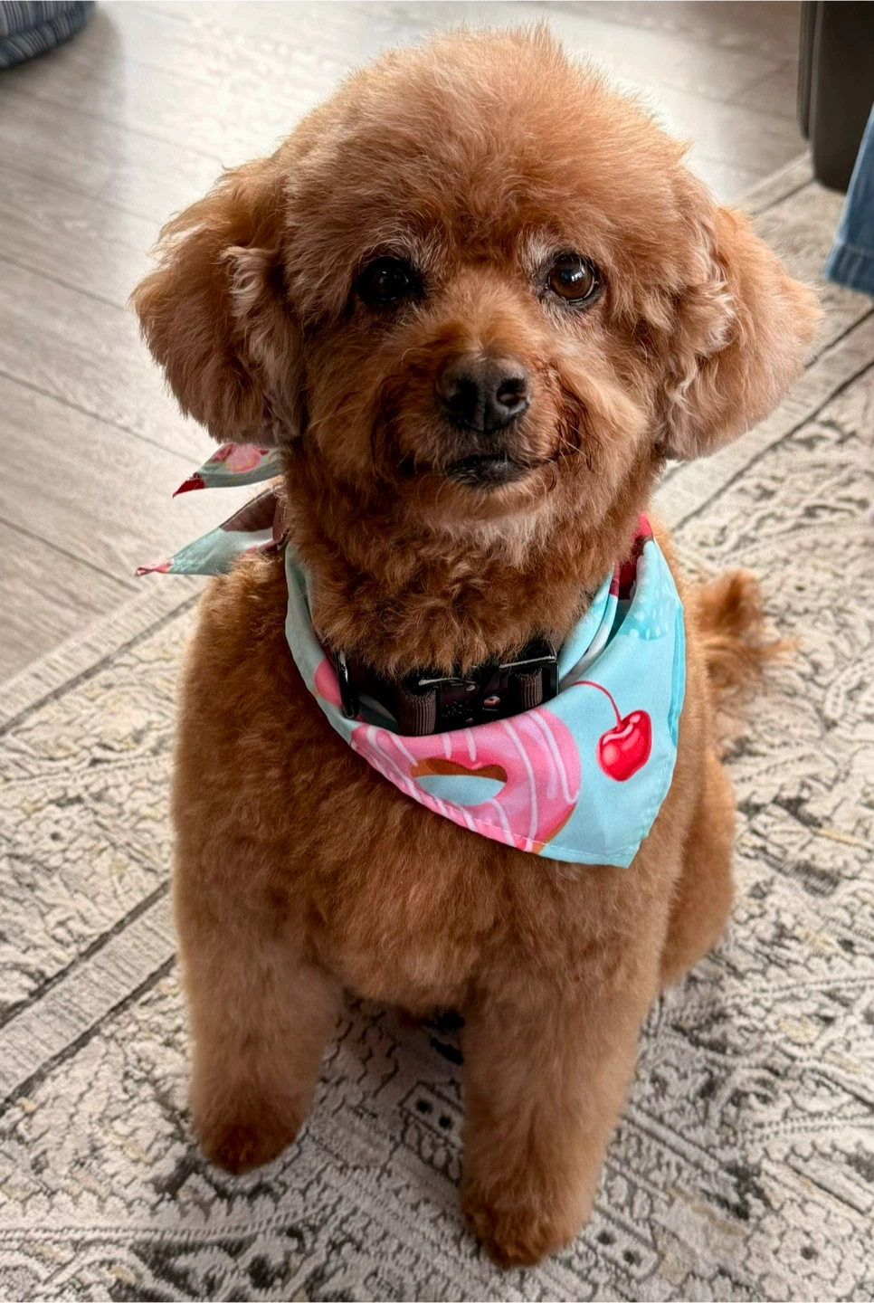 RJ profile