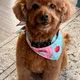 RJ profile
