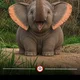 Noe profile