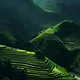 Quy profile