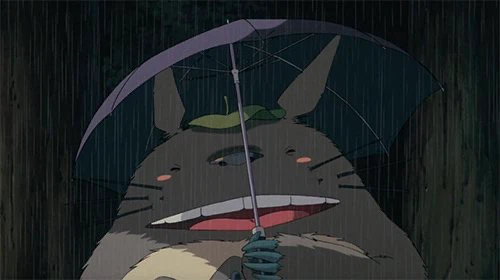 Totoro profile