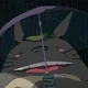 Totoro profile