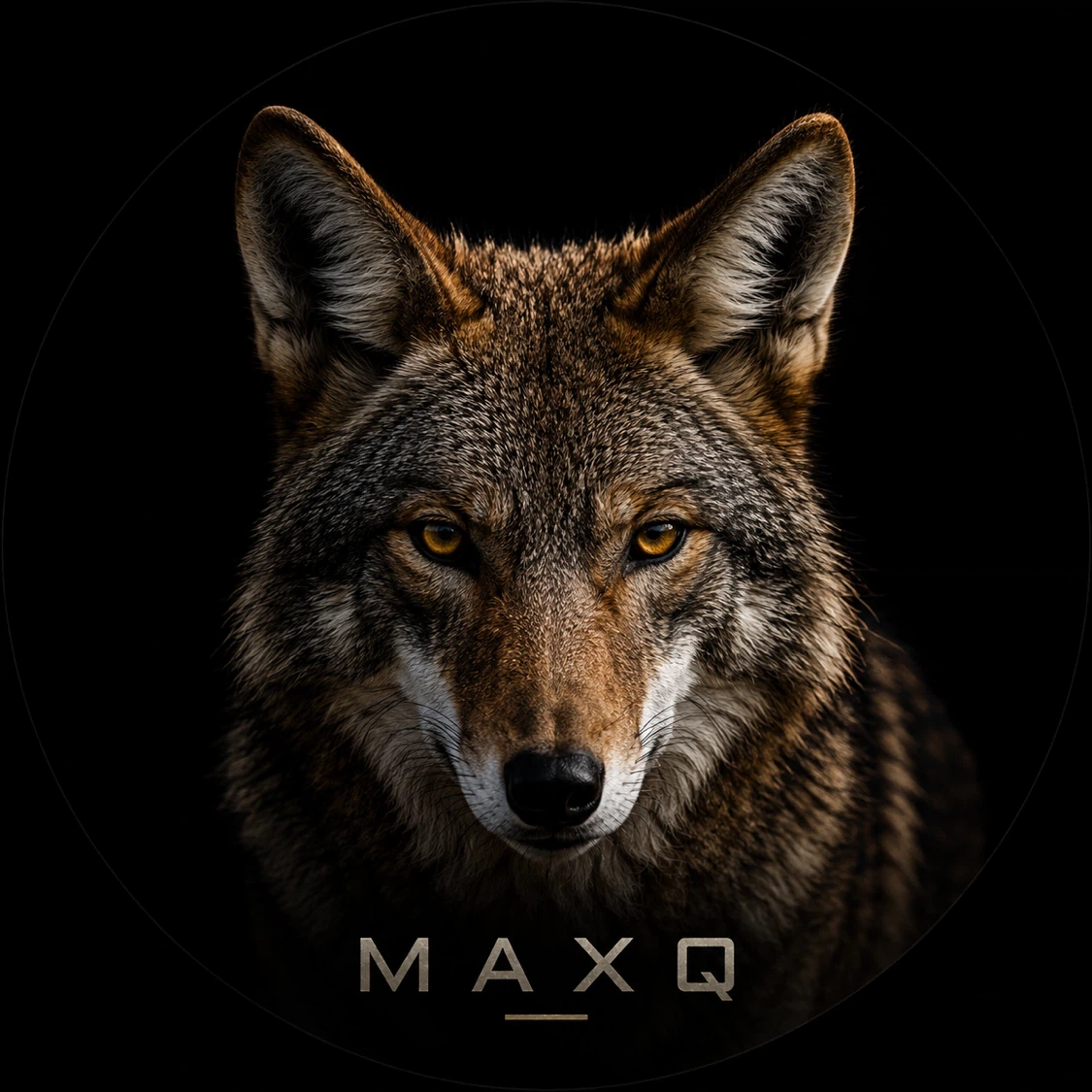 maxq profile