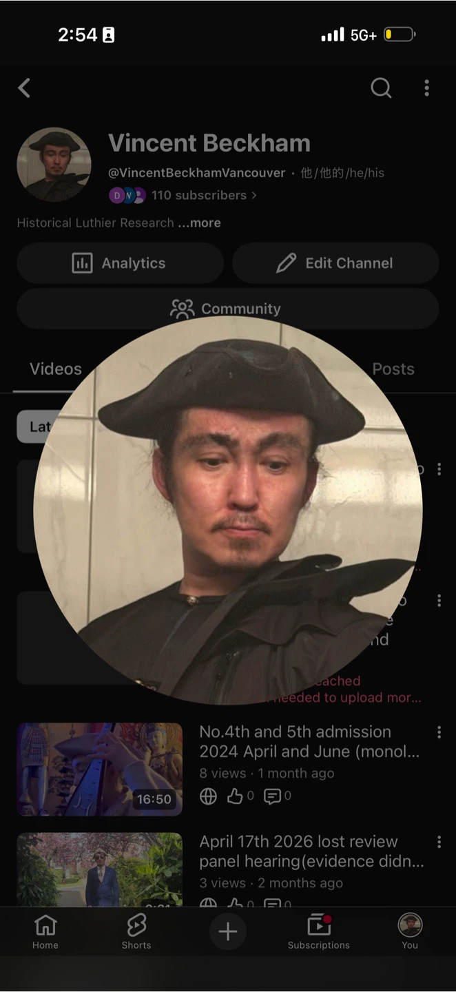 Vincent profile