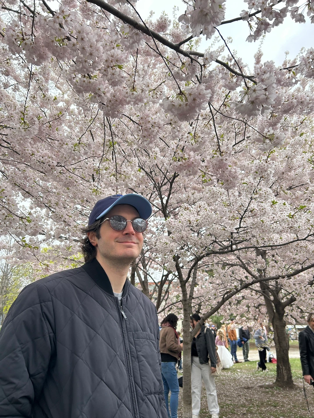 Aaron profile