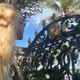 Ai profile
