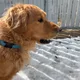 Jack profile